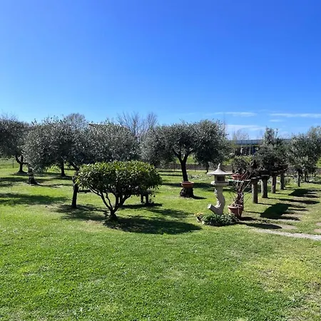 La Casa Di Margot * Forte dei Marmi