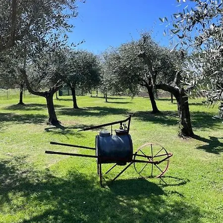 Lägenhet La Casa Di Margot