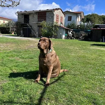 Lägenhet La Casa Di Margot